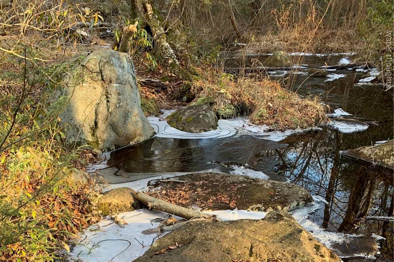 Relatively calm body of water with rocks and ice along edges, vegetation in browns, greens, photo watermark: water thoughts.