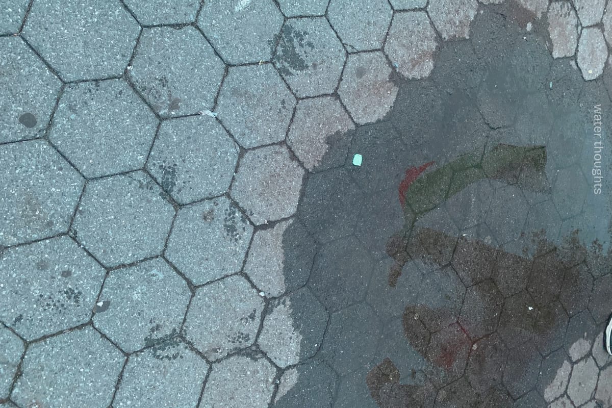 person holding a Palestinian flag that is moving in the wind, reflected in a puddle on tiled concrete ground, photo by water thoughts