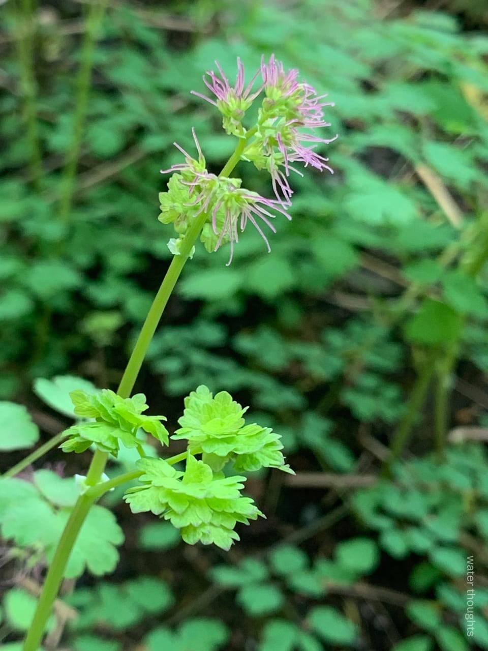 to unfurl and out reach/ out: part 1