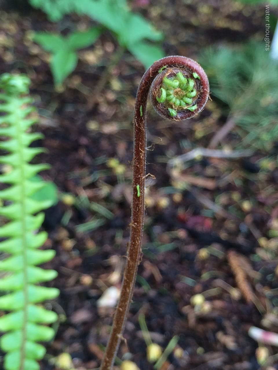 to unfurl and out reach/ out: part 2
