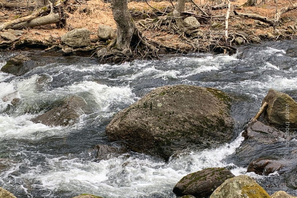 when rage fatigues, make way for a river..
